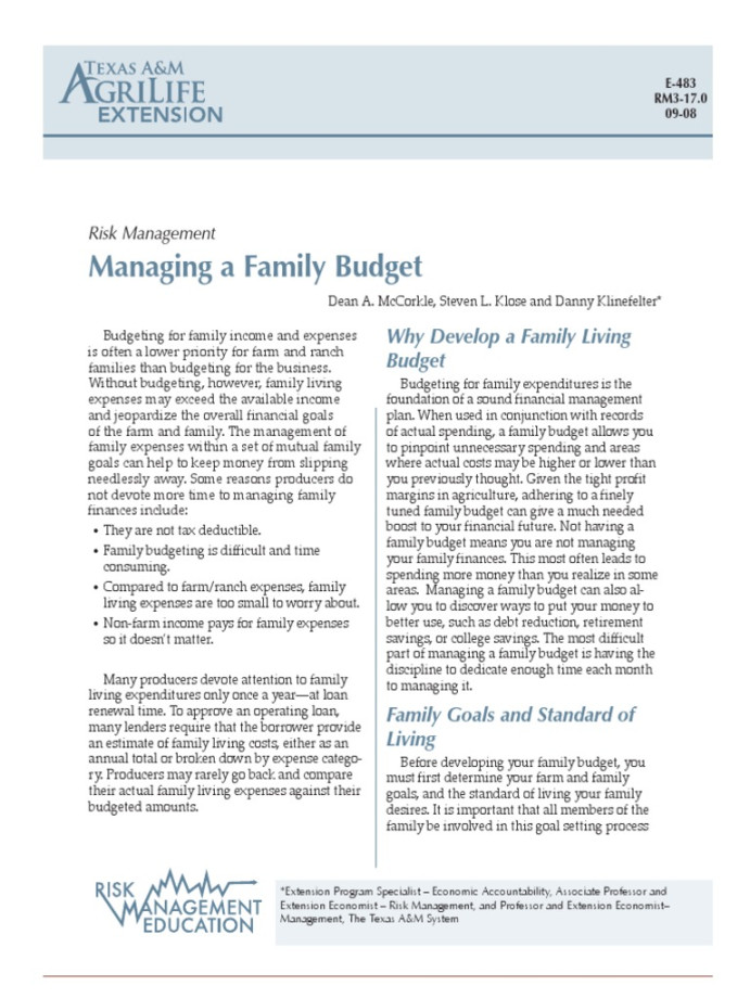 Managing A Family Budget  PDF  Expense  Budget