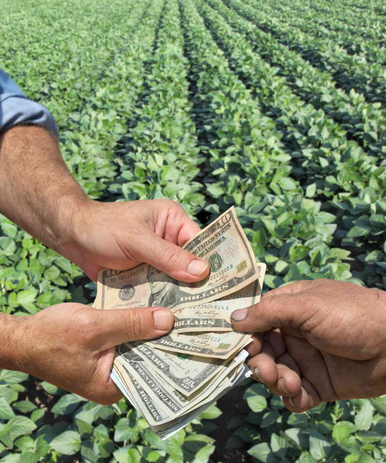 Tips for Managing Your Farm Finances